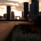 Au Soleil couchant à la Défense