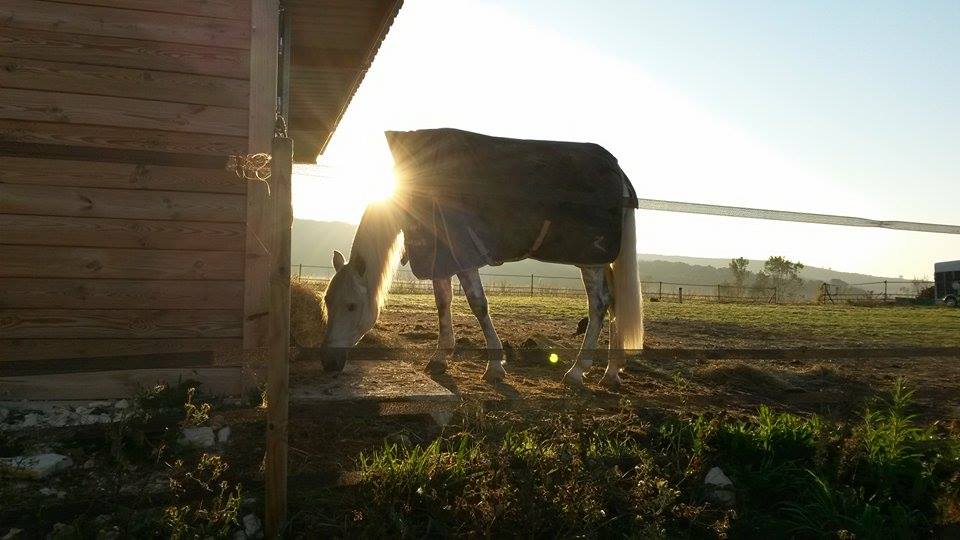 Au soleil levant ..