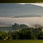 Au soleil levant sous la brume