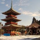 Au temple de Narita au Japon