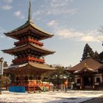 Au temple de Narita au Japon