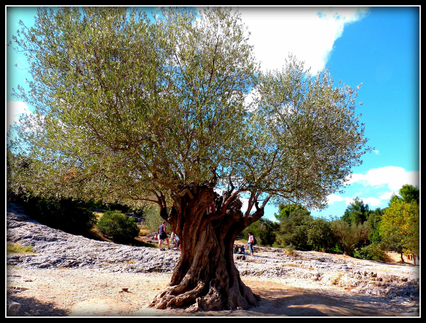 Au travers du Gard et de l'Ardèche 