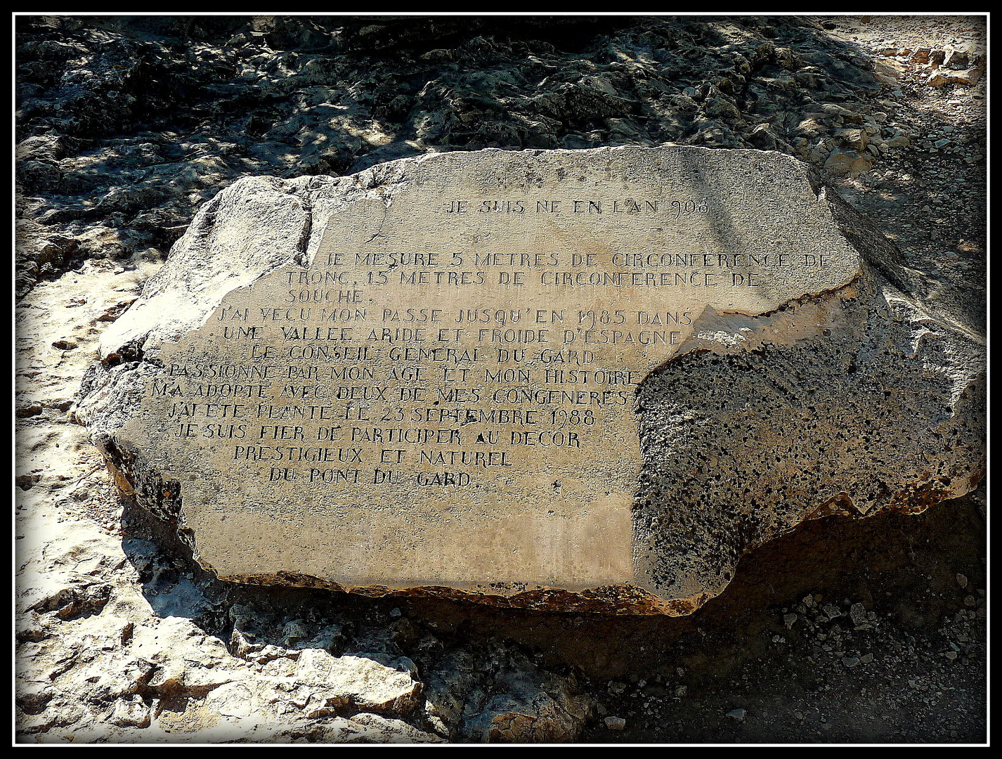 Au travers du Gard et de l'Ardèche 