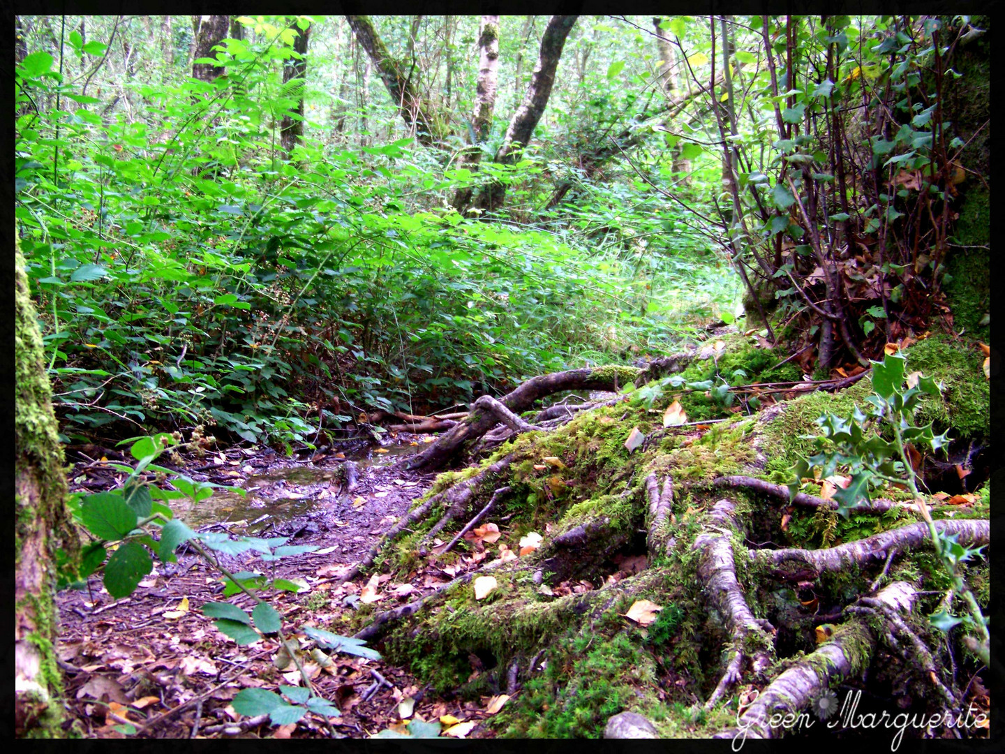 Au Val sans retour...