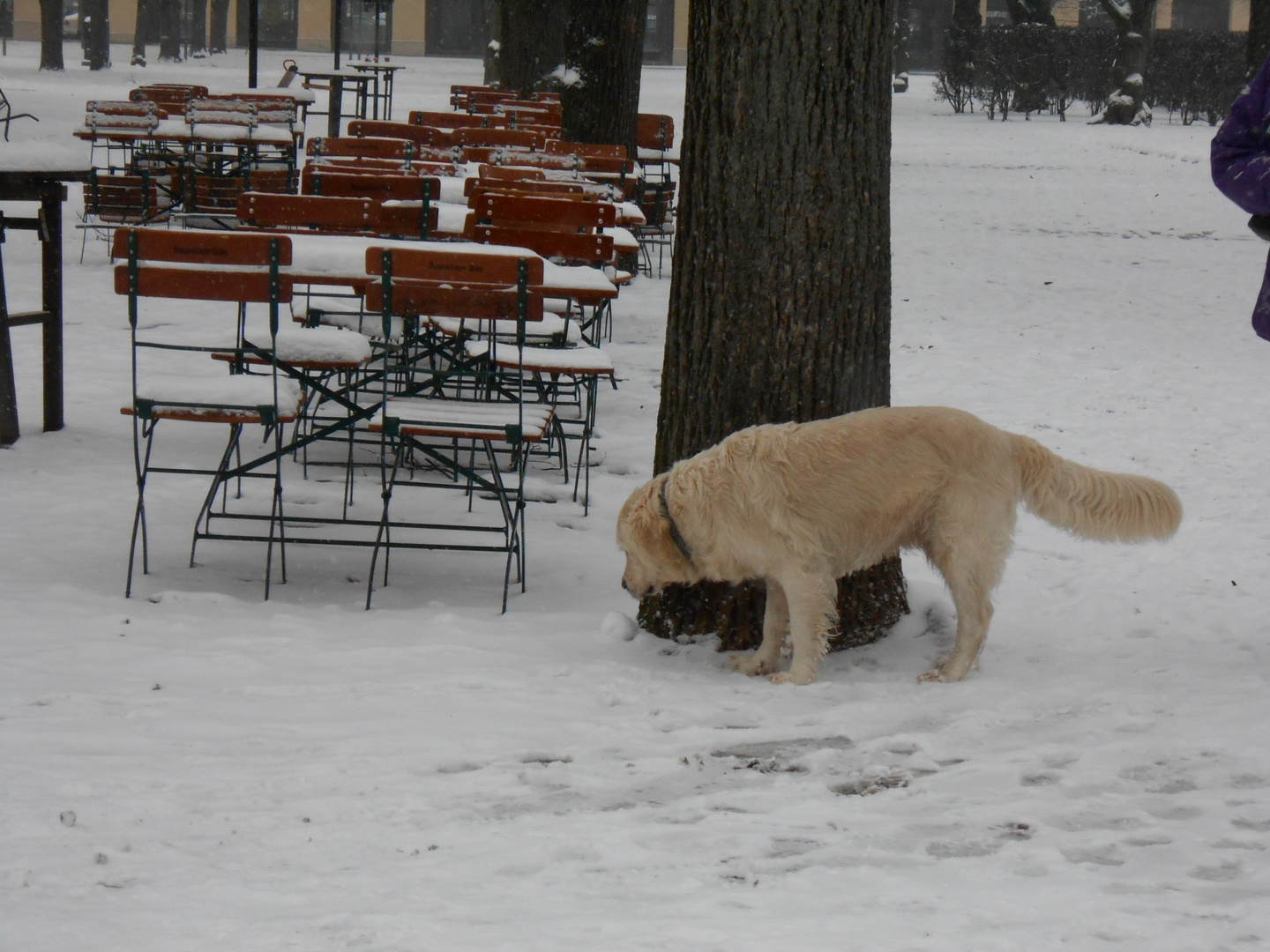 Au weiha.... der Winter ist da......