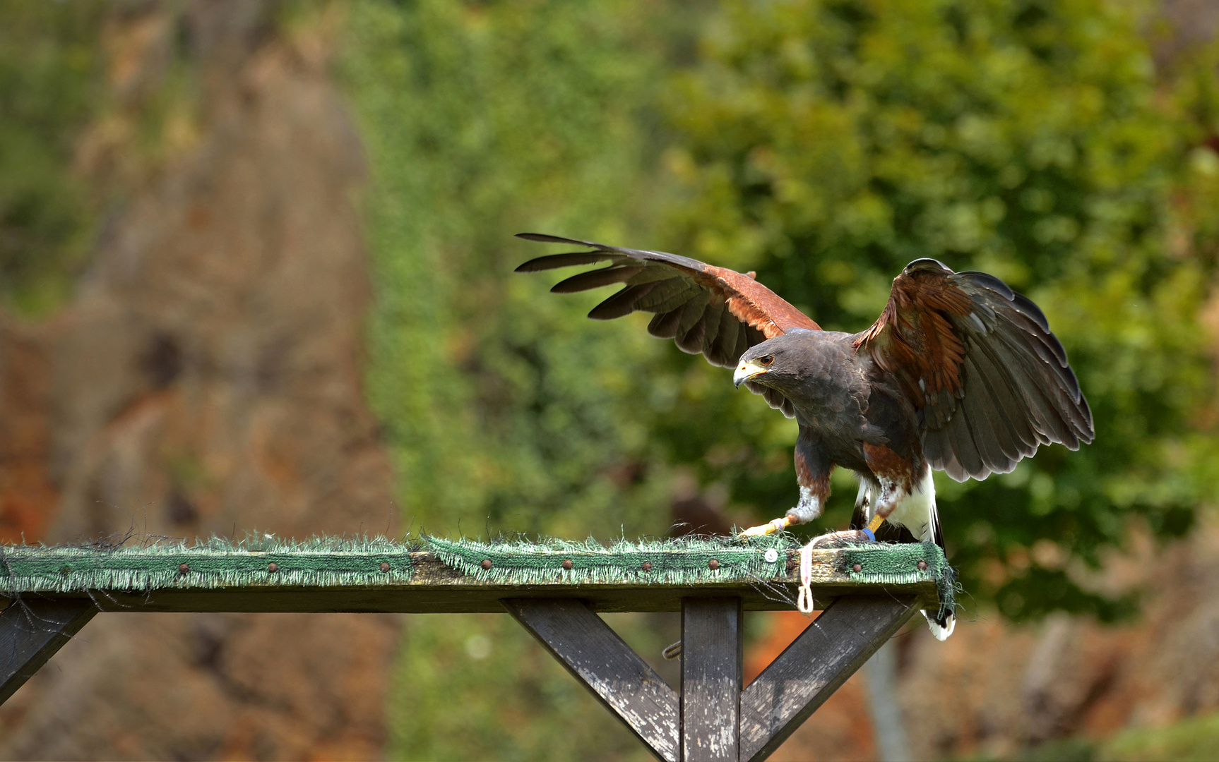 Au zoo de Cabarceno