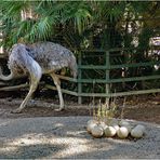 au zoo de pistoia .....