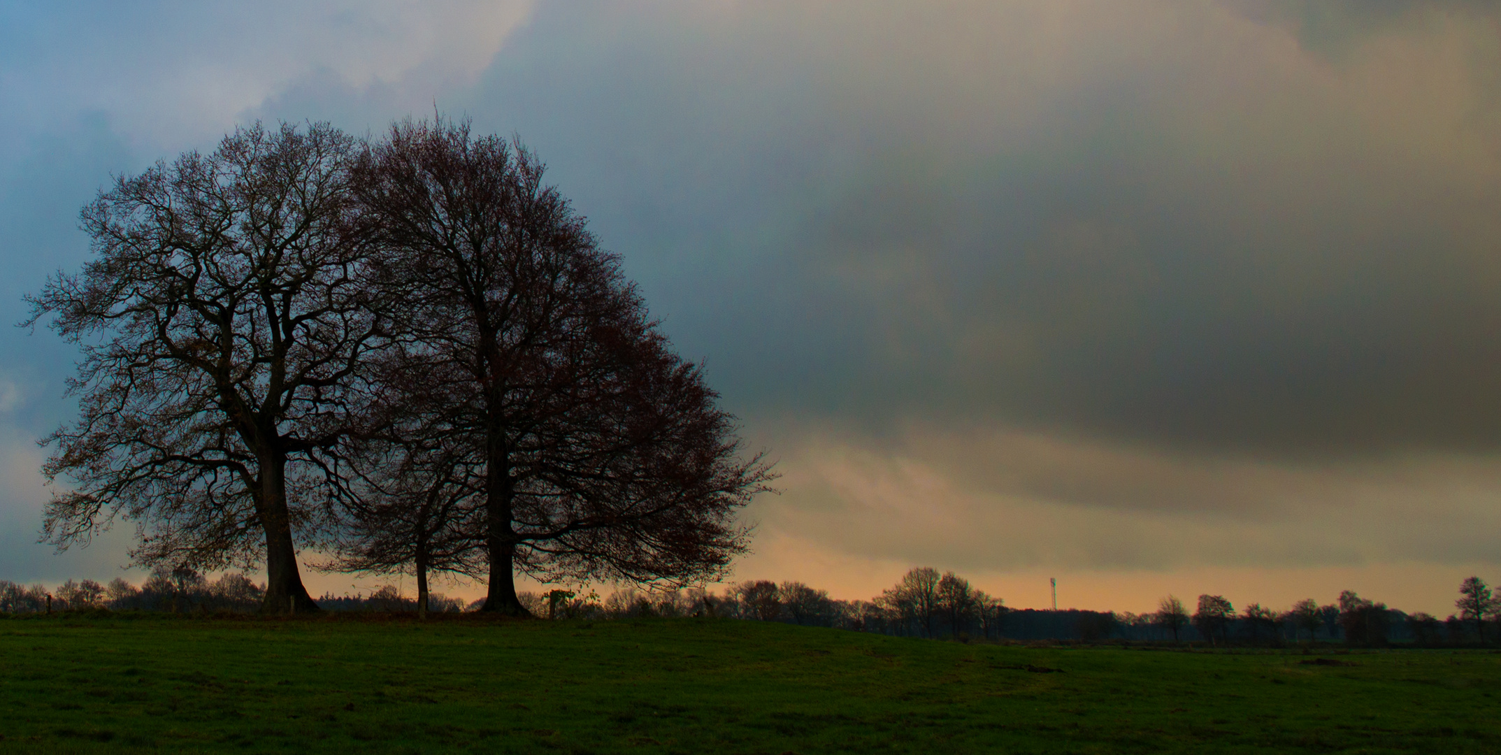 AuA 2021 Bad Bederkesa Baum 