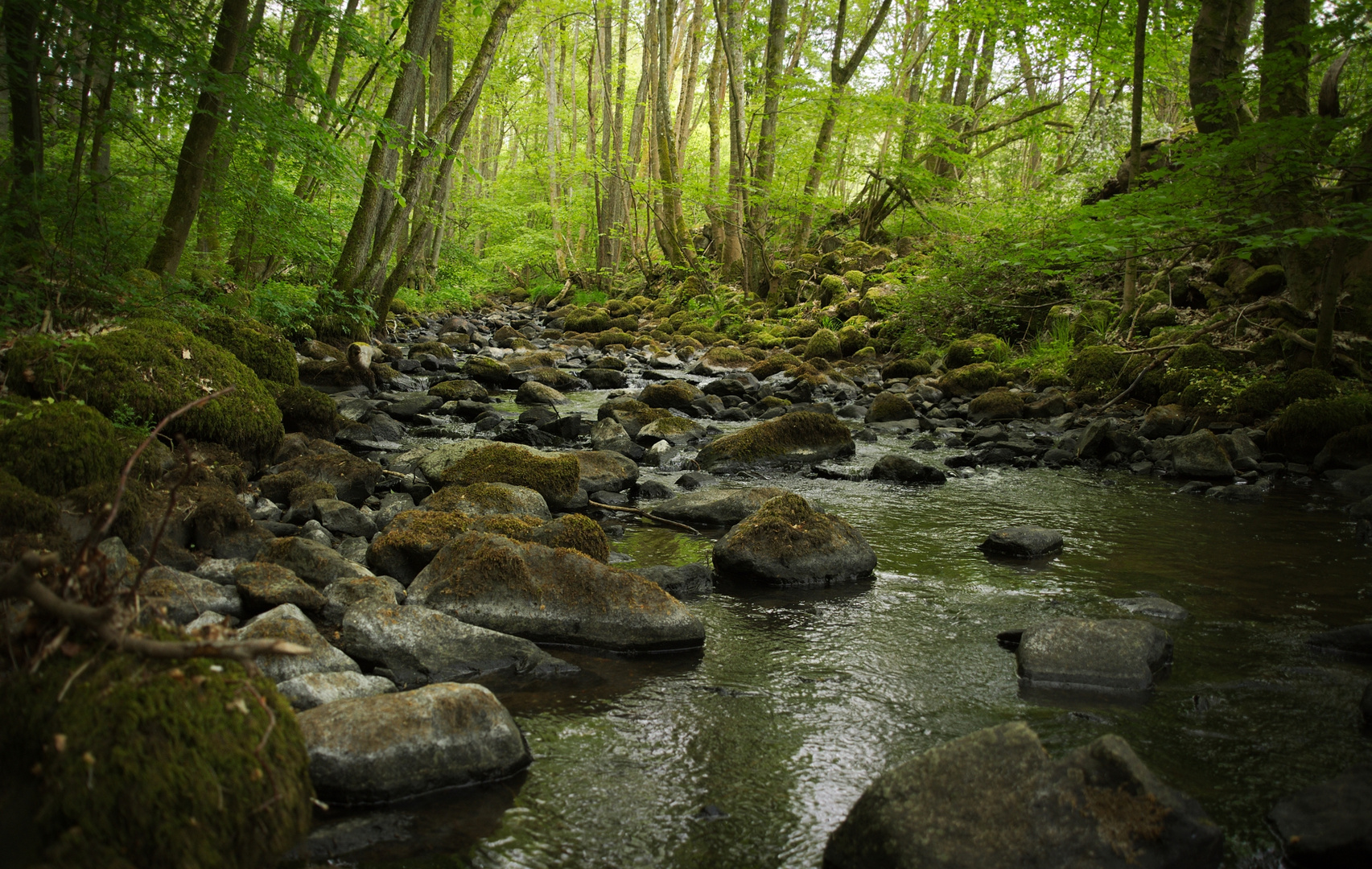 Aubachtal 