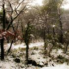 aubagne sous la neige 2