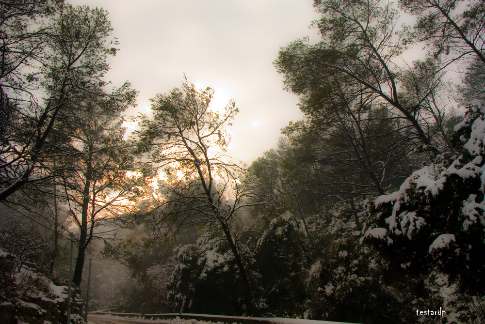 aubagne sous la neige