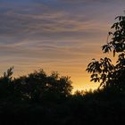 Aube d’Octobre vue de mon jardin