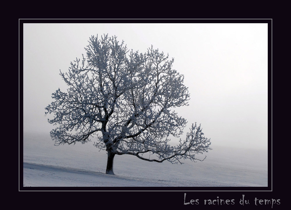 Aube et brouillard