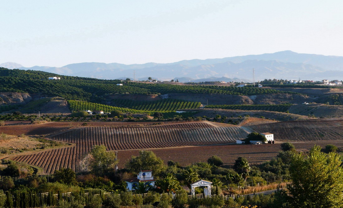 Aube sur l'hacienda