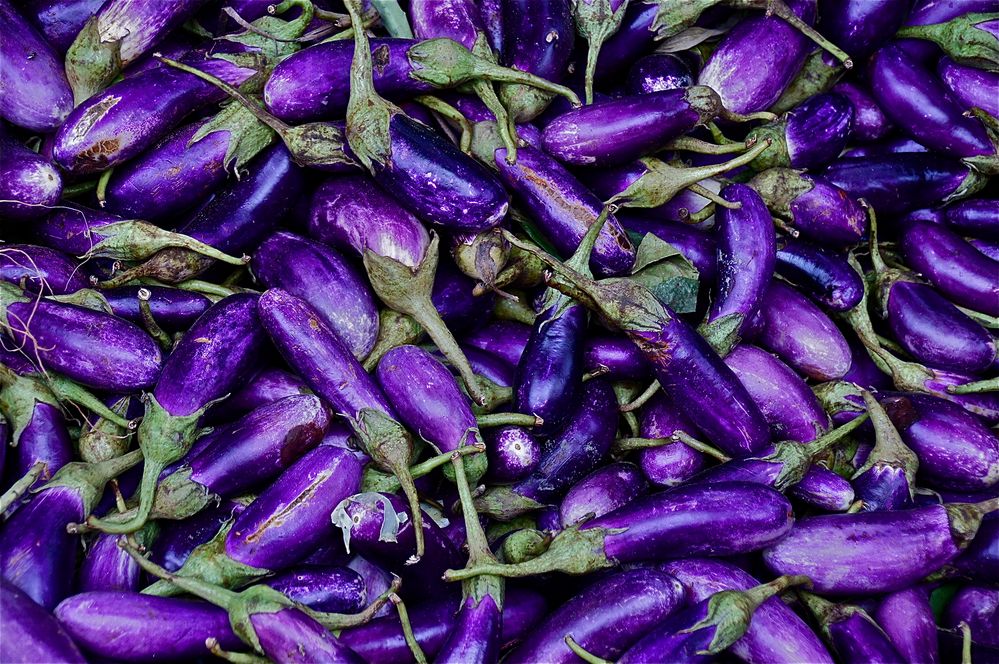 auberginen auf einem landmarkt, burma 2011