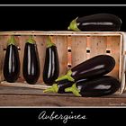 Aubergines