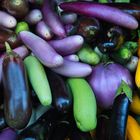 Aubergines et courgettes