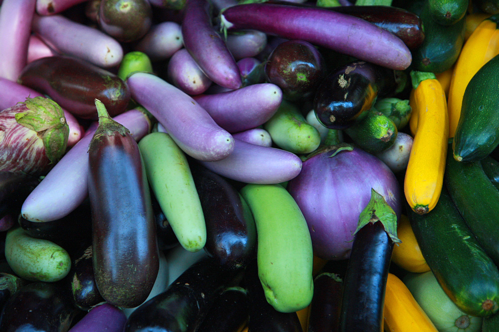 Aubergines et courgettes