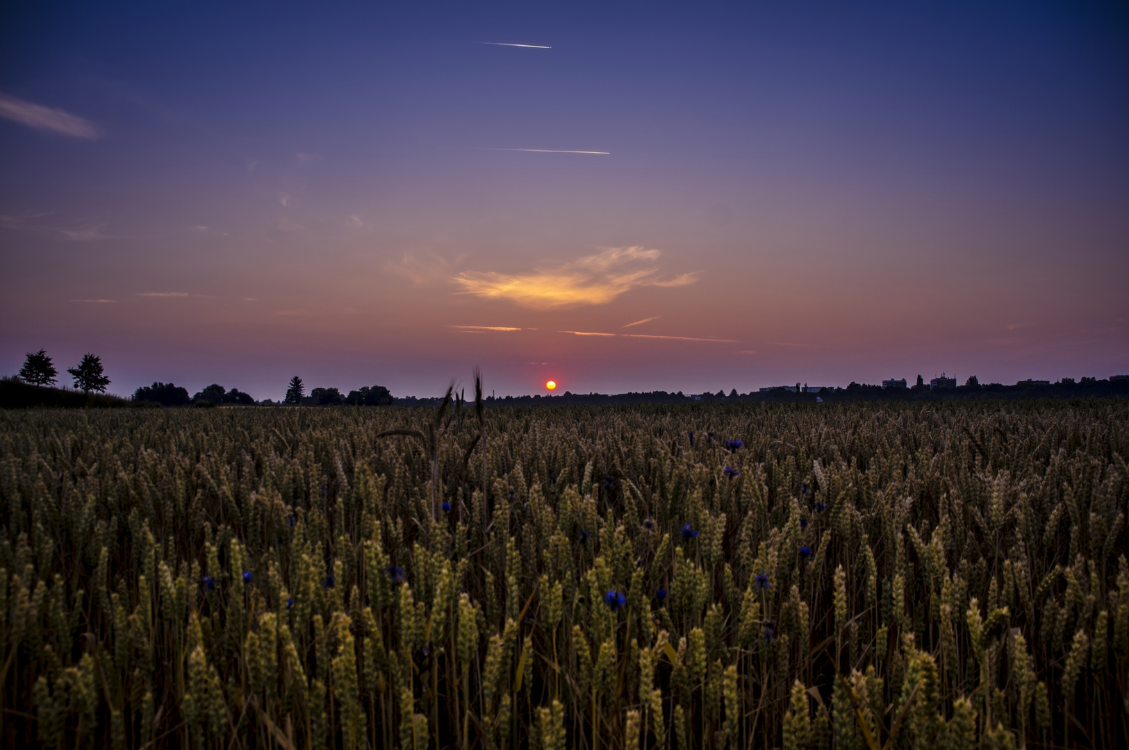 Aubinger Lohe, Sonnenaufgang über dem Münchner Westen