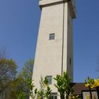 Aubinger Wasserturm im Frühling
