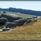 Aubrac - 35 - 