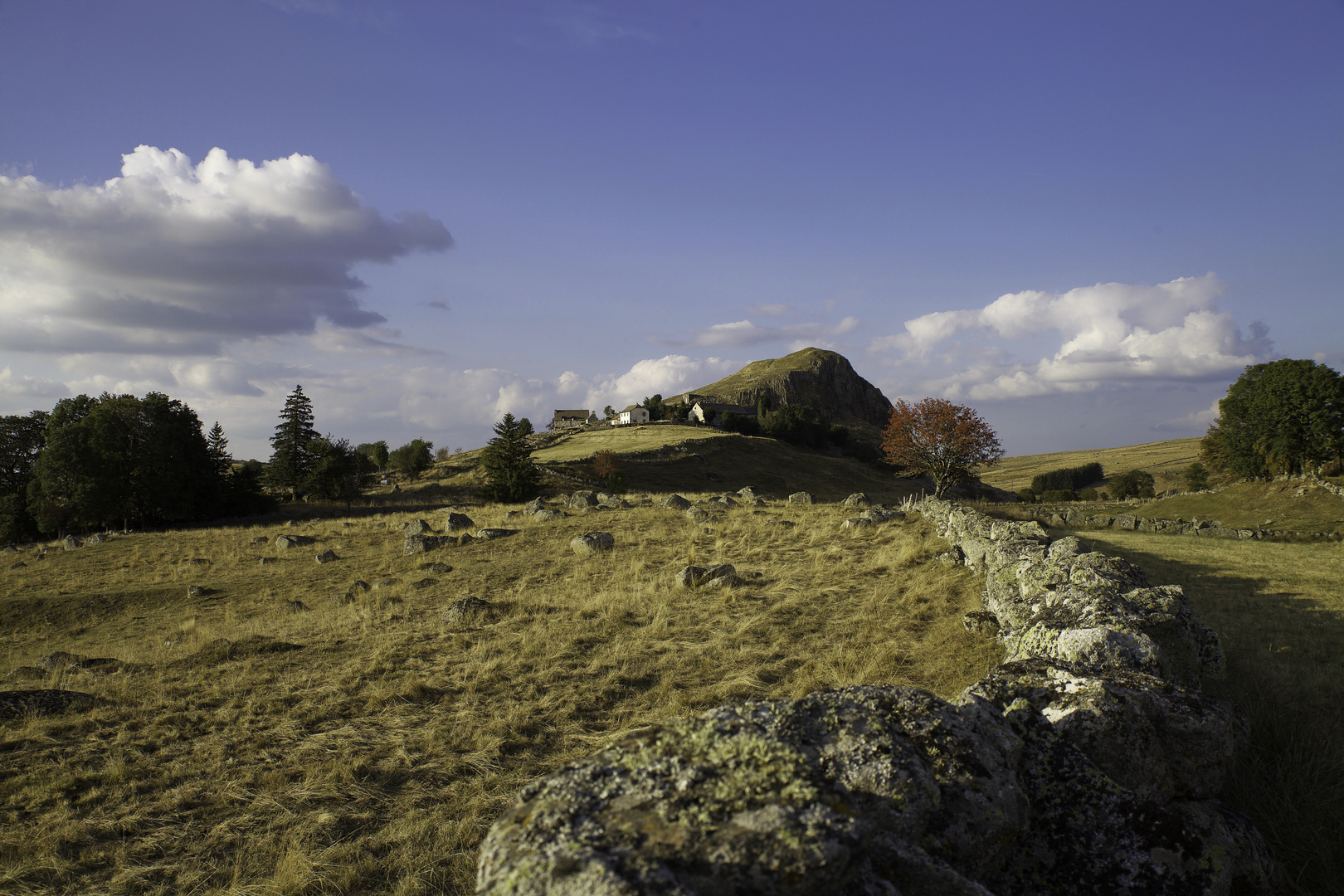 Aubrac