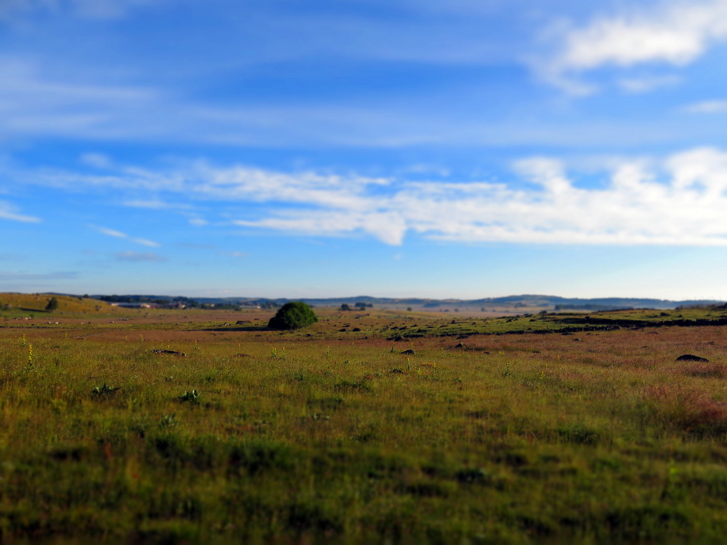 Aubrac Hochland