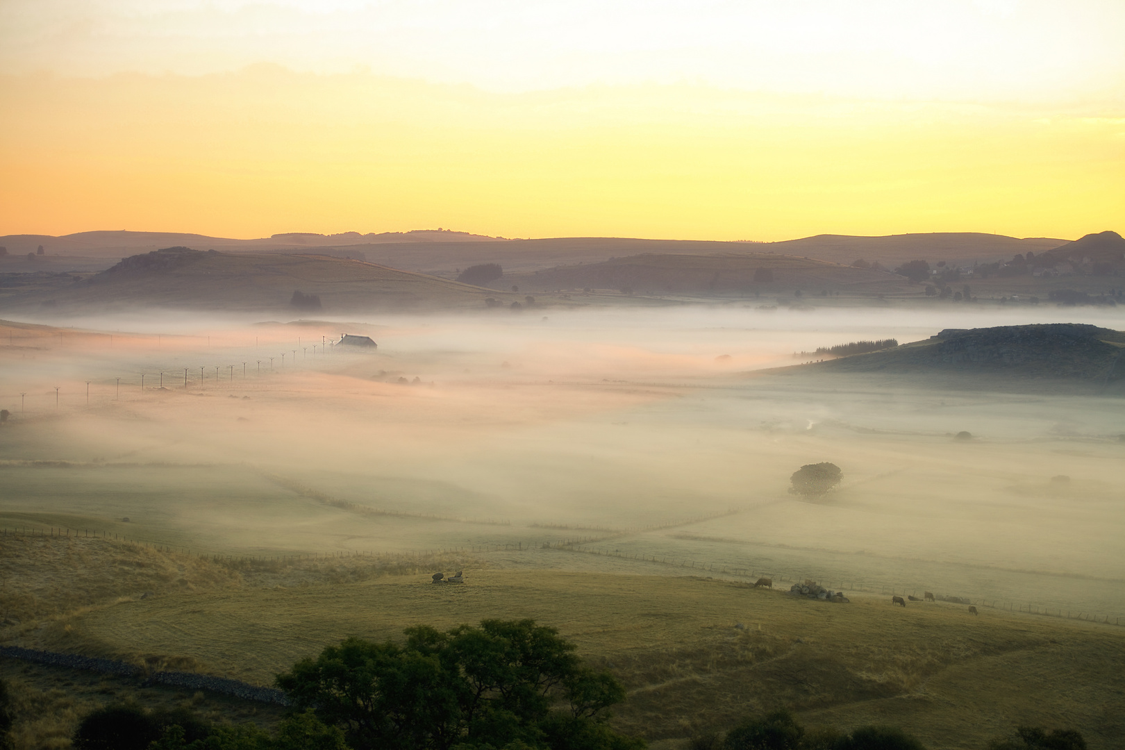 Aubrac Morgennebel