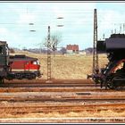 Auch 1982 gab es in Camburg noch eine gute Baureihen- Mischung auf den Gleisen