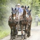 auch 4PS können mächtig Dampf machen ;-)