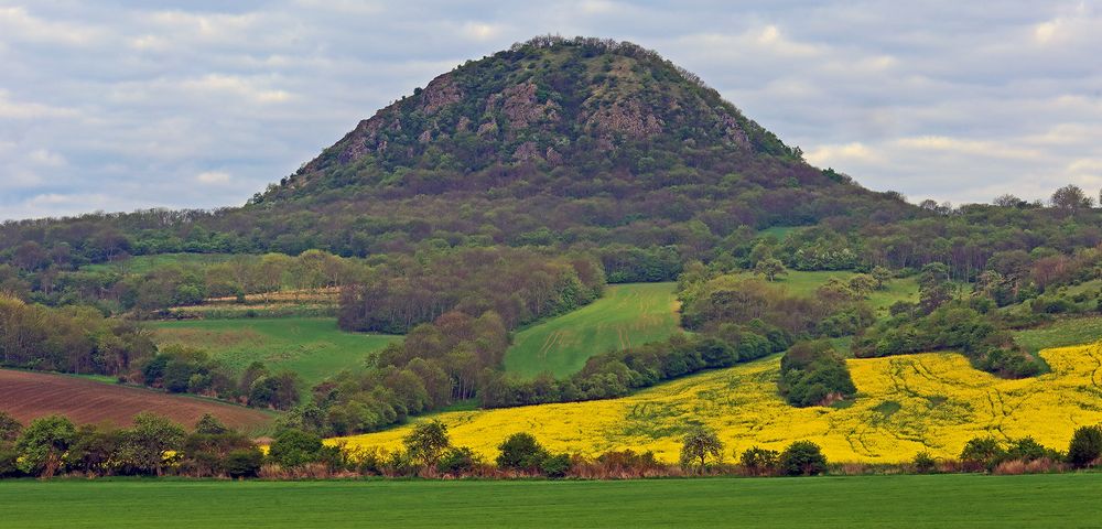 Auch am Boren dem schwierigsten Berg der drei großen im Süden des Böhmischen Mittelgebirges...