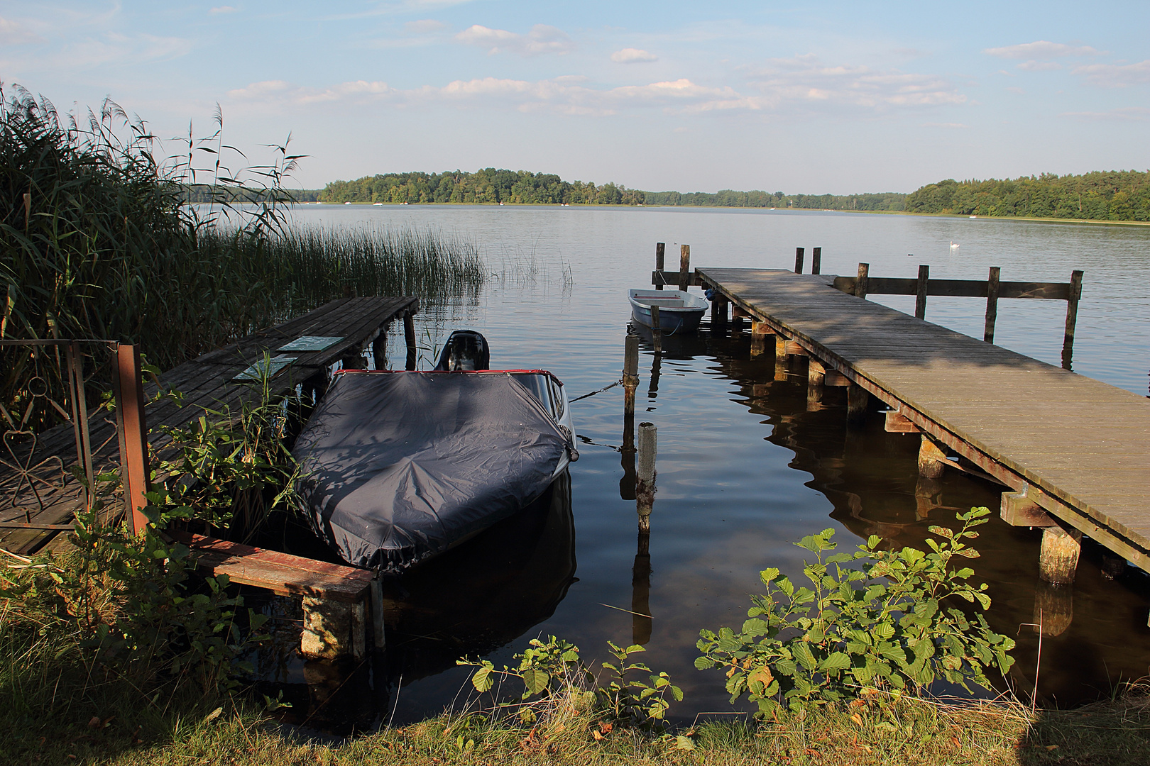 Auch am Rheinsberger See