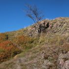 Auch am Ruppberg gibt es Felsen