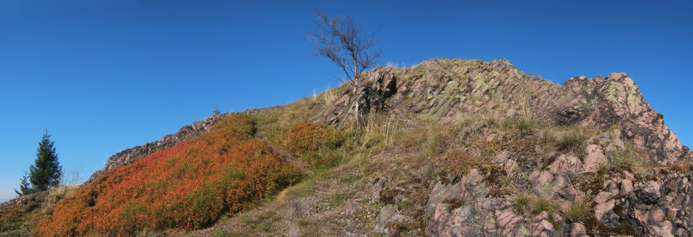 Auch am Ruppberg gibt es Felsen