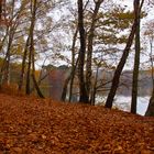 Auch am See ist´s schön