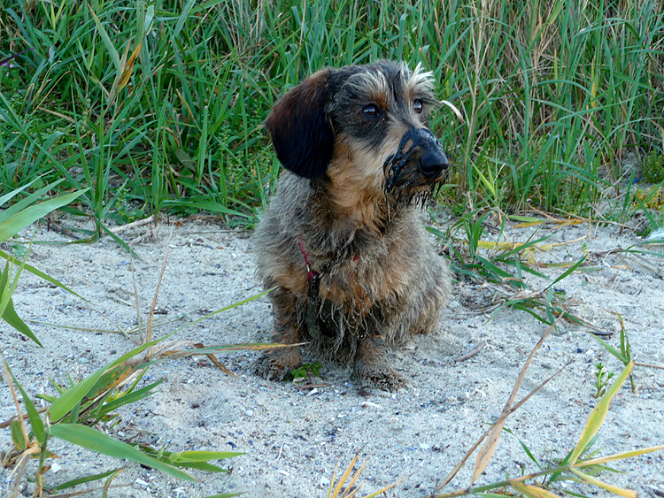 Auch an der Ostsee