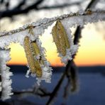 Auch an kalten Tagen geht die Sonne auf