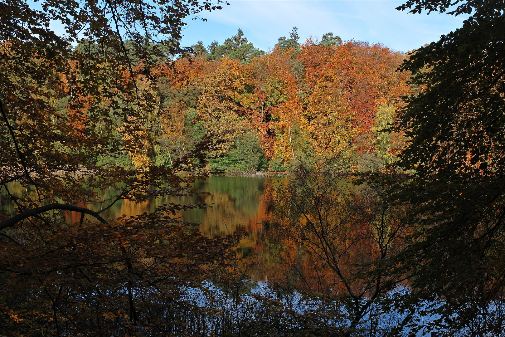 Auch Anfang November sind in diesem Jahr noch viele Blääter an den Bäumen