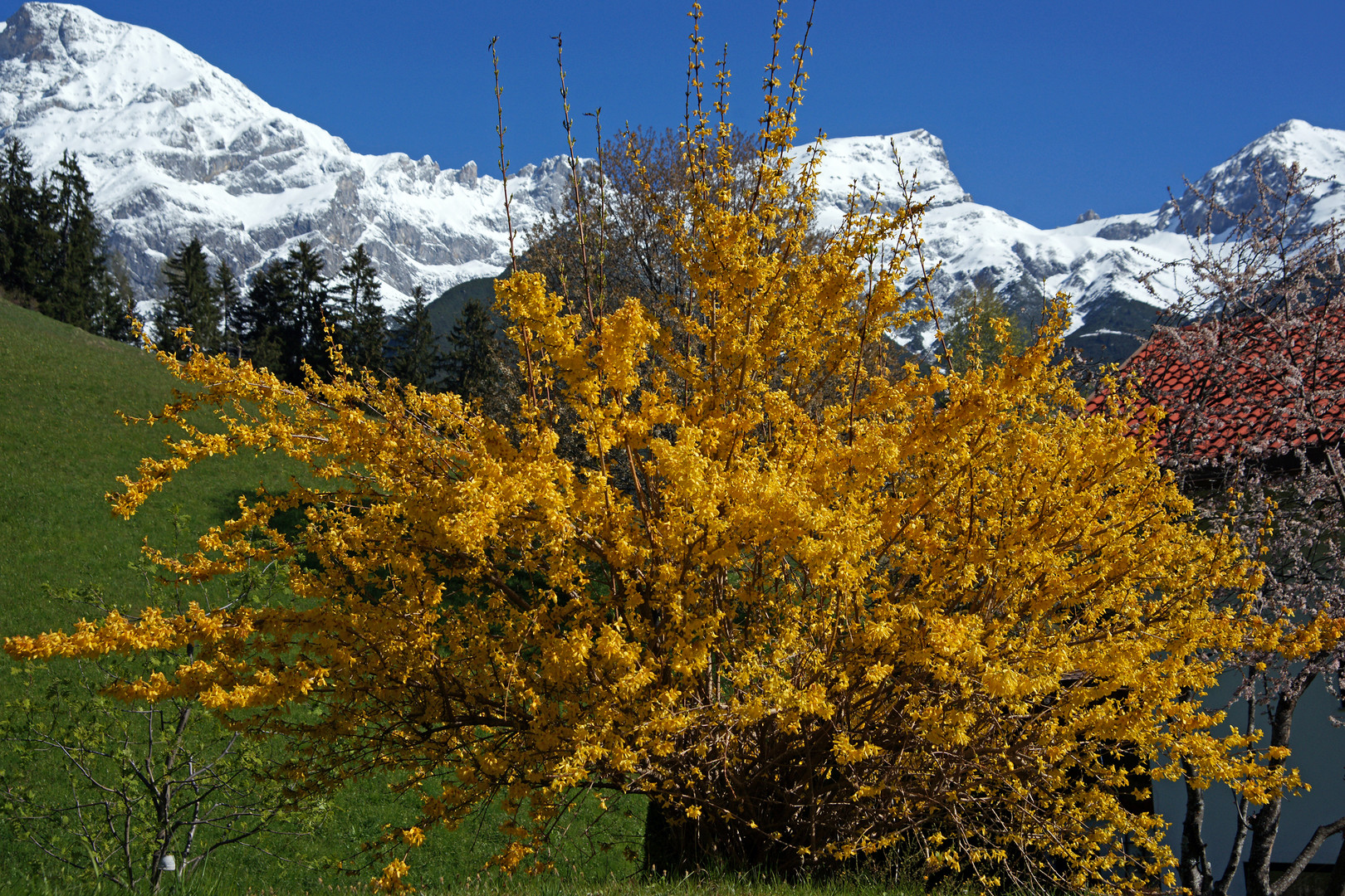 auch auf ca.1200m