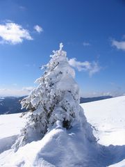 Auch auf dem Feldberg