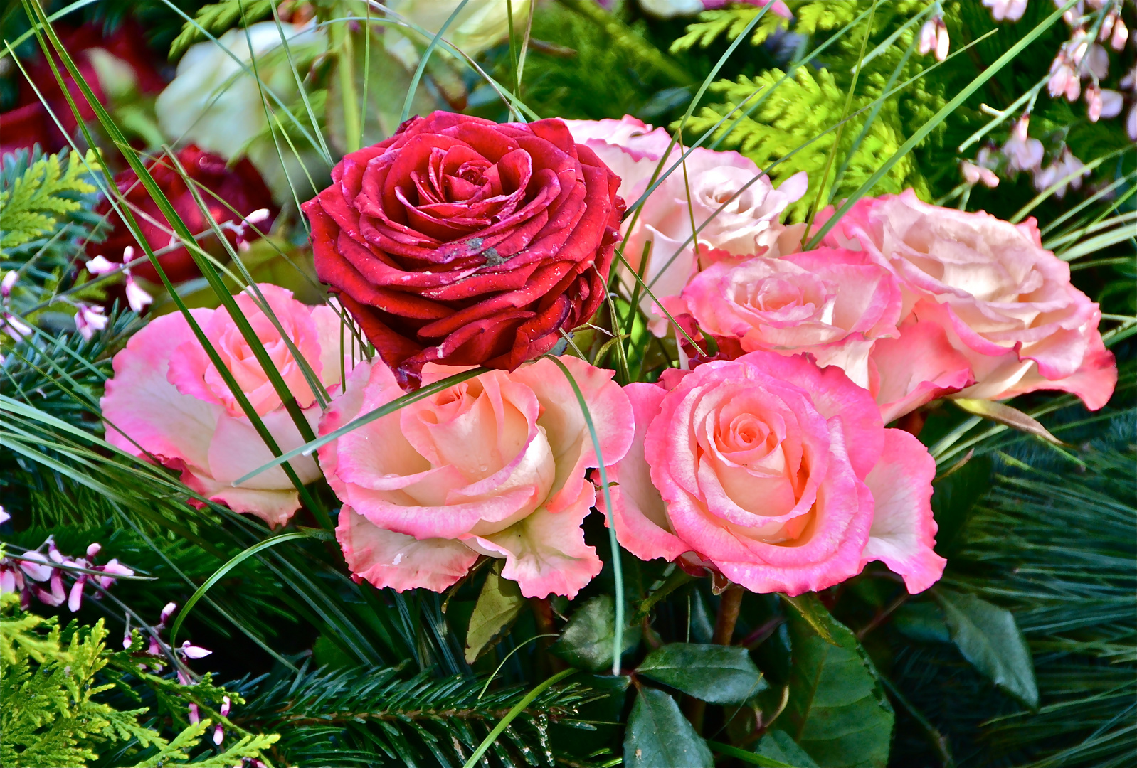 Auch auf dem Friedhof sind Blumen wunderschön