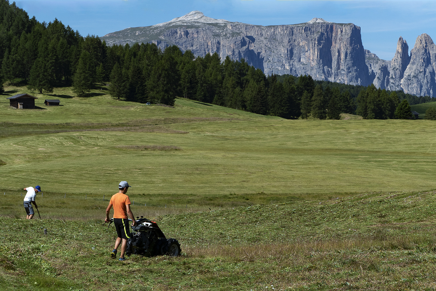 Auch auf der Seiser Alm wird modern gemäht