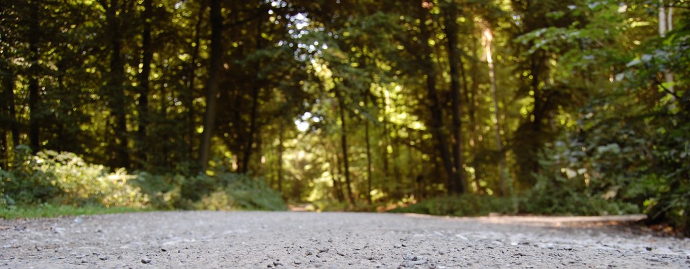 "Auch aus Steinen, die Dir in den Weg gelegt werden, kannst Du etwas schönes bauen." Erich Kästner