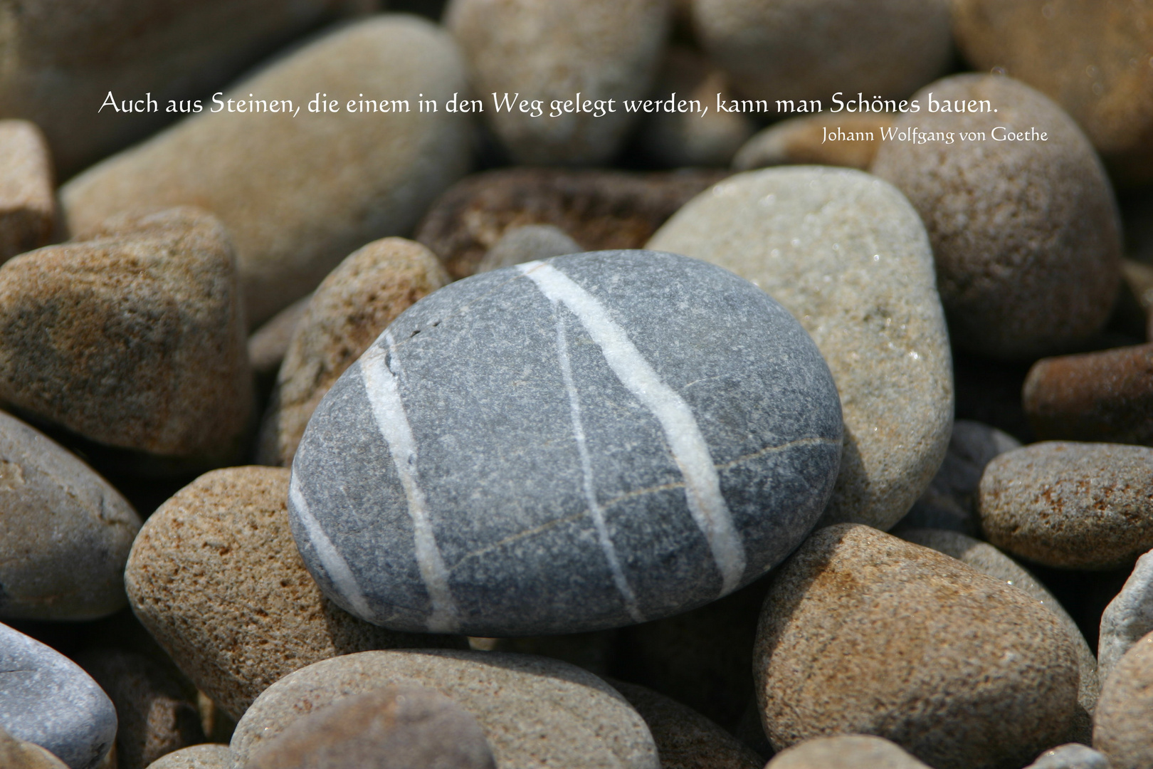 Auch aus Steinen, die einem in den Weg gelegt werden, kann man Schönes bauen.