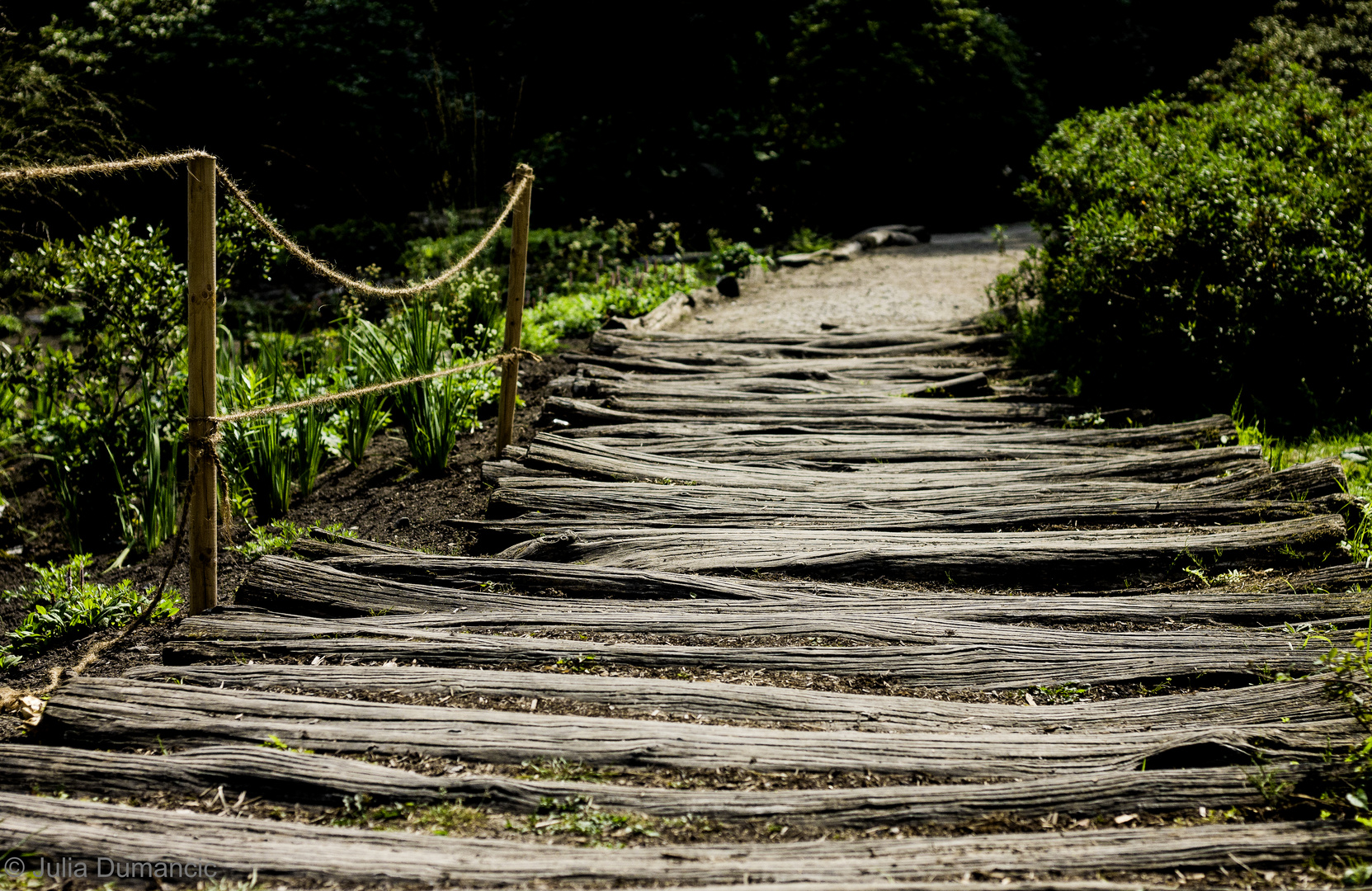 "Auch aus Steinen, die einem in den Weg gelegt werden, kann man Schönes bauen." (Goethe)