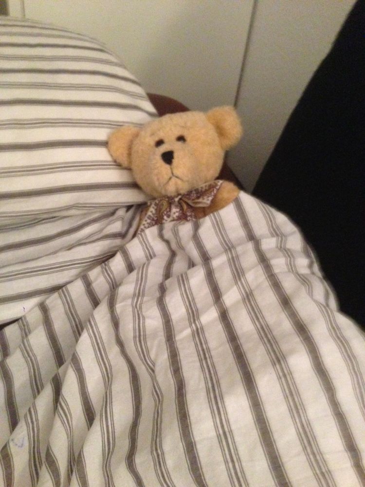 Auch Barchen Sind Mal Mude Foto Bild Spezial Teddy Motive Bilder Auf Fotocommunity