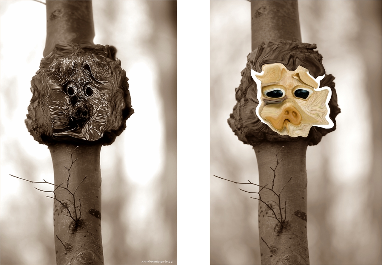 Auch Bäume tragen manchmal Masken....