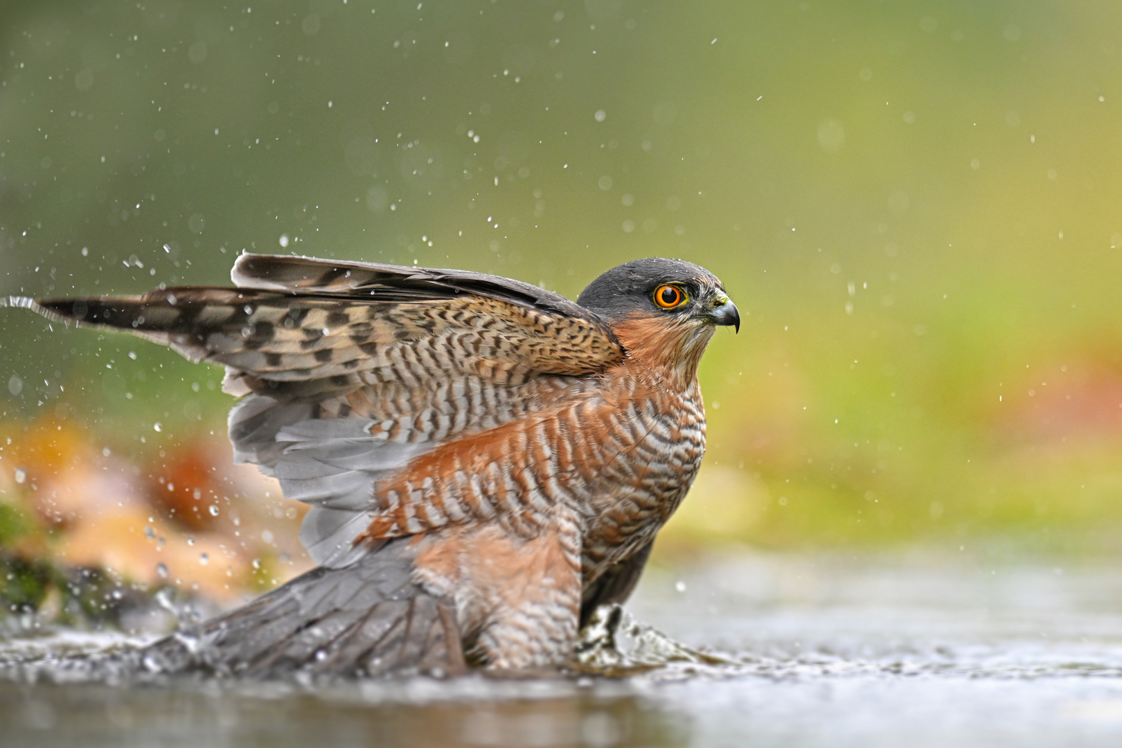 auch bei Regen..