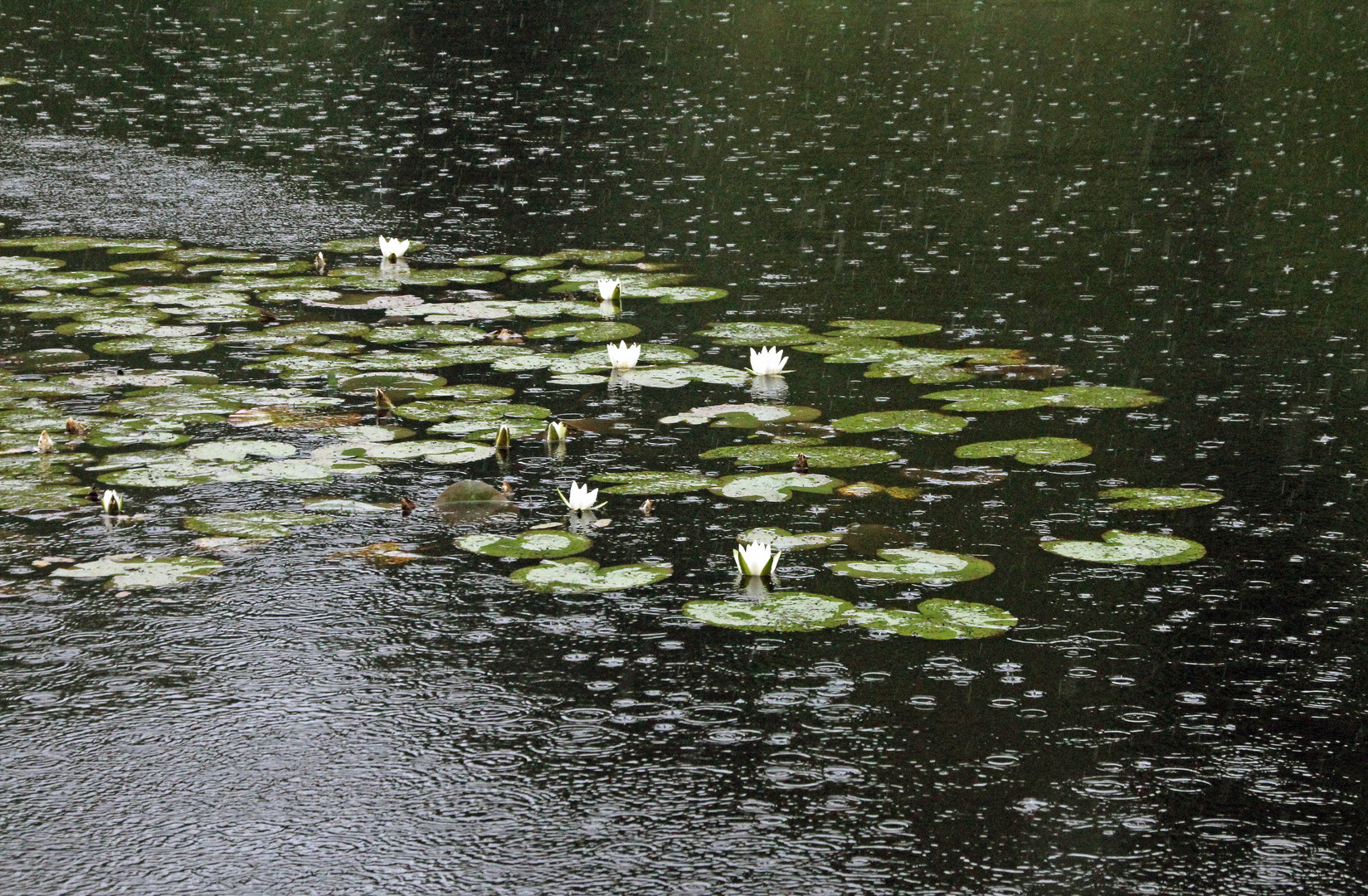 auch bei Regen