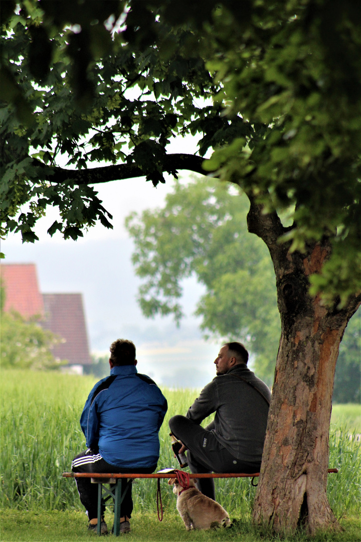 auch bei Regen lässt sich herrlich  sinnieren unter Linden 